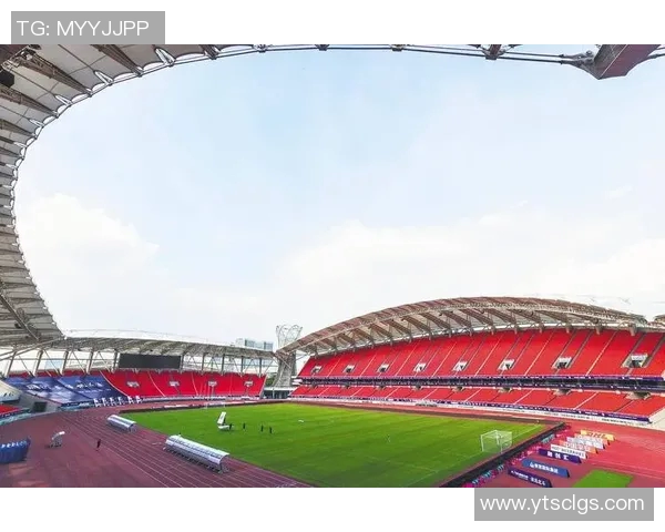 武汉足球队的奋斗历程与荣耀时刻全景纪实