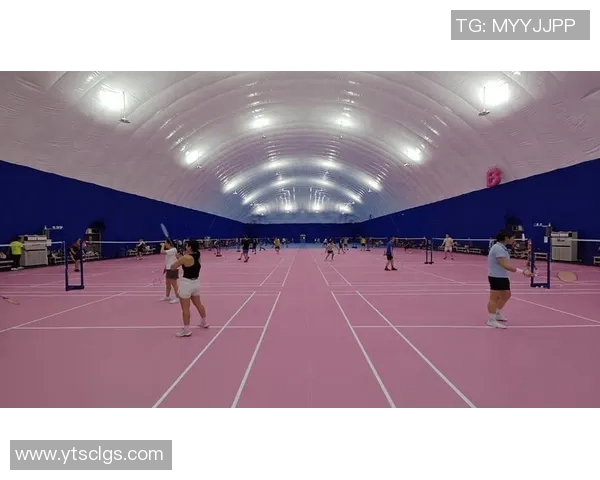 深圳羽毛球队逆袭之路揭秘：从挑战到辉煌的精彩赛事回顾