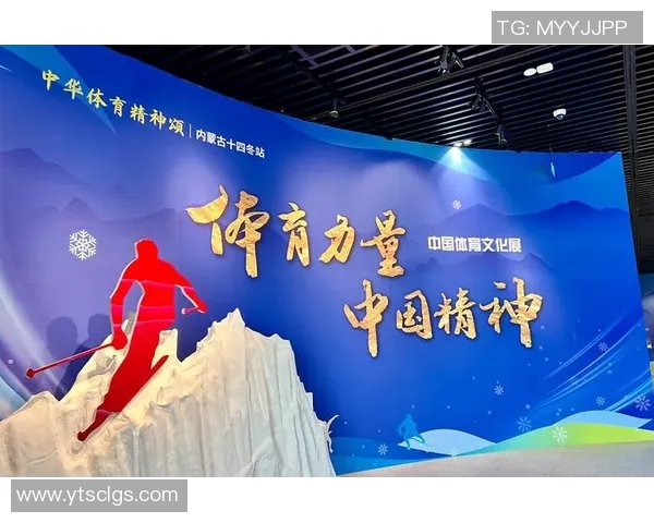 深圳羽毛球队在杯赛中的拼搏历程与辉煌成就全景回顾