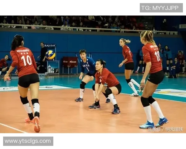 对话李静：回顾她的网球生涯与未来展望的深度交流