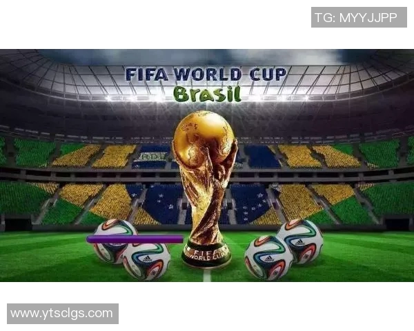 法国足球明星球衣号码揭秘及其背后的故事分析