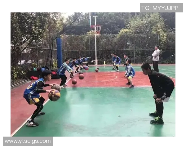 西安篮球队控制打法的深度分析与战术解读 西安篮球队控制打法的深度分析与战术解读